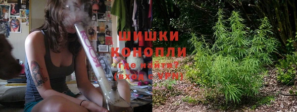 эйфоретик Магас