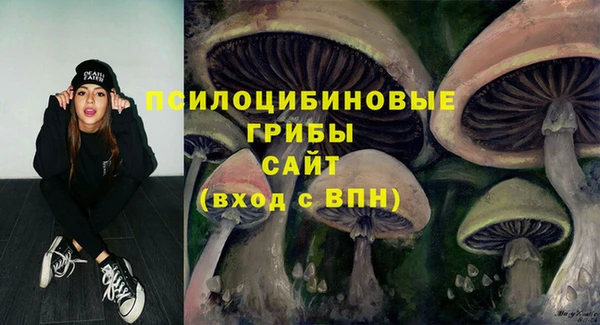 сатива Майский