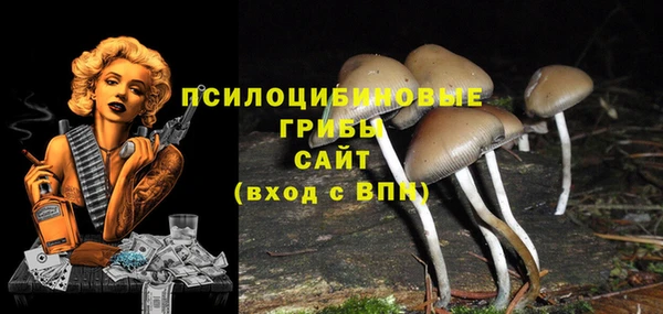 эйфоретик Магас