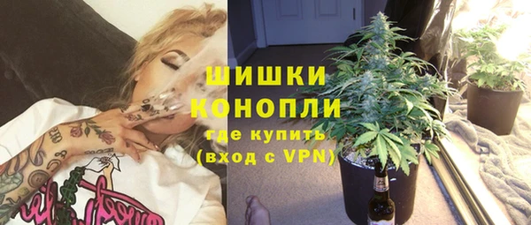 сатива Майский