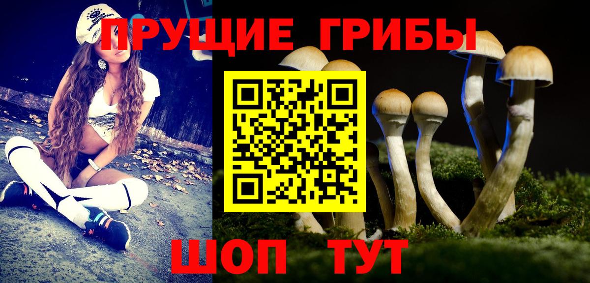 Галлюциногенные грибы мицелий Комсомольск-на-Амуре