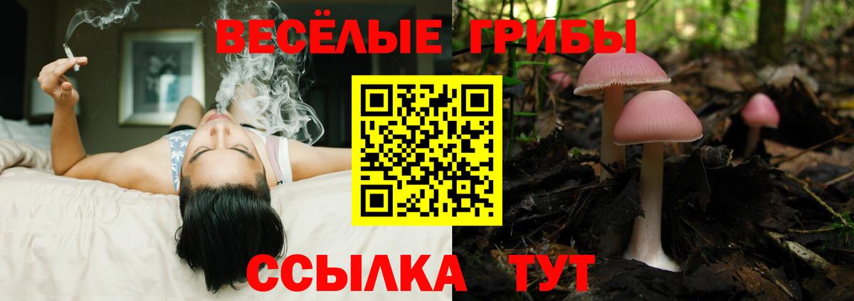 Галлюциногенные грибы прущие грибы  Псилоцибиновые грибы Psilocybine cubensis  Вход с VPN  Комсомольск-на-Амуре 